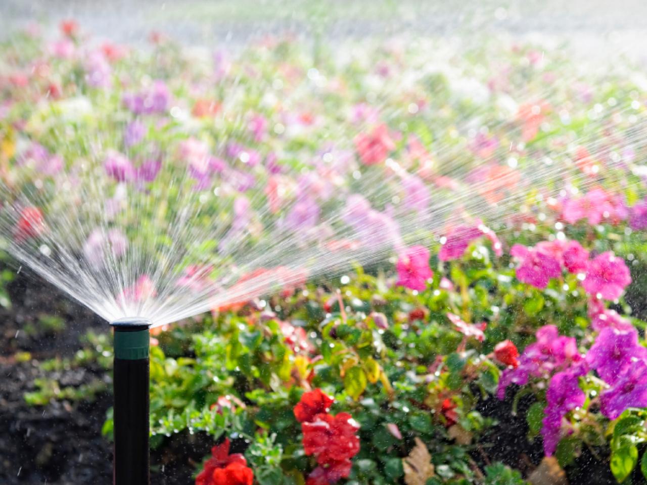 Hệ thống phun nước tự động dành cho sân vườn nhà bạn