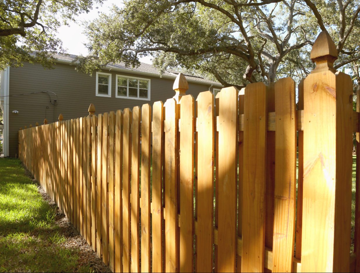 Những ý tưởng thiết kế hàng rào dành cho ngôi nhà của bạn